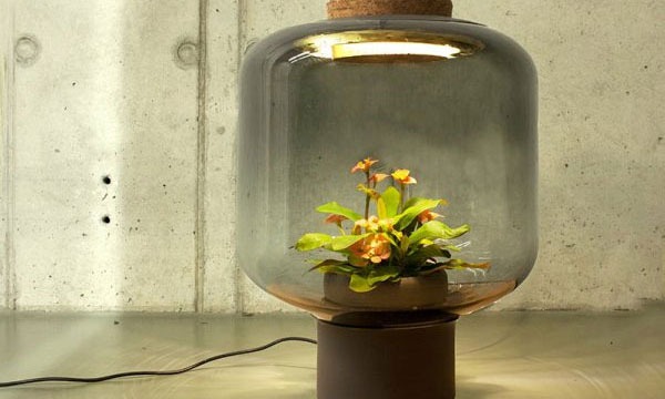 德設(shè)計師采用LED防水電源發(fā)明無需打理的 “?植物燈“